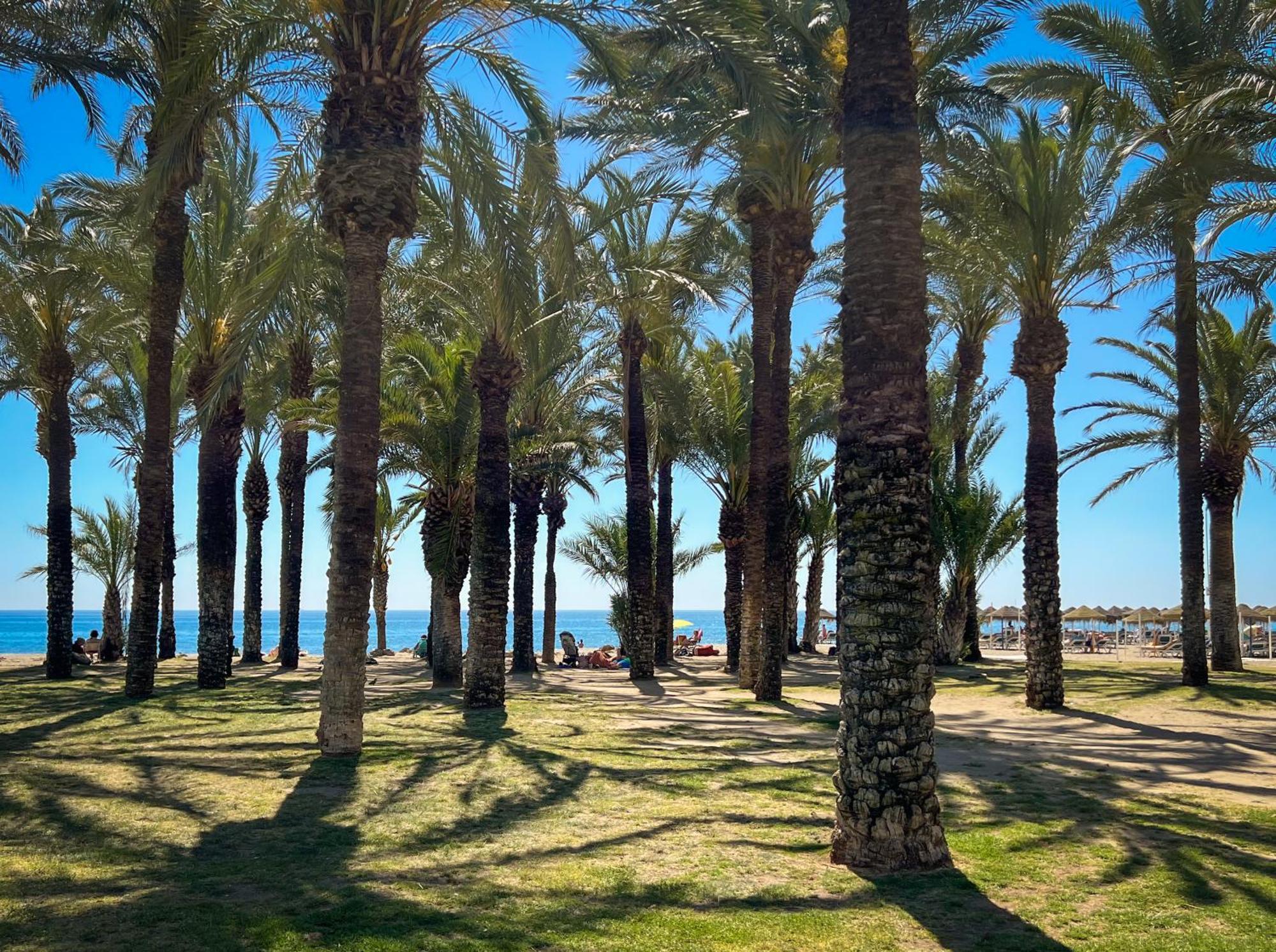 Sunsands Studio 1ºb Playa76 Carihuela توريمولينوس المظهر الخارجي الصورة